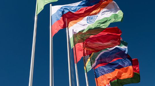 The growing importance of BRICS