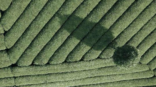 Balancing growth opportunities and rising yields