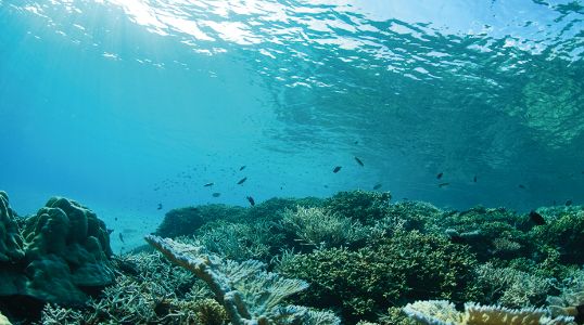 Blue Economy: Translating climate action into capital solutions